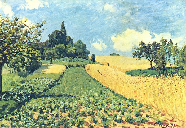 Getreidefelder auf den Huegeln von Argenteuil