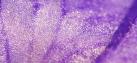 Glitter-Violett