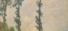 Pappel-Serie-Wind