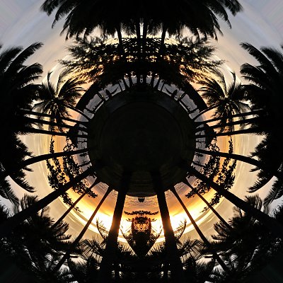 Palmenplanet