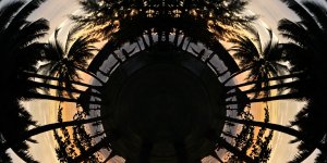 Palmenplanet 