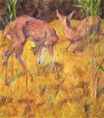 Rehe im Schilf