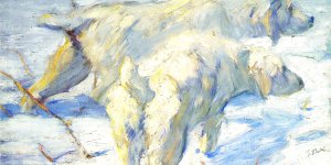 Sibirische Schaeferhunde 