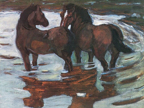Zwei Pferde in der Schwemme