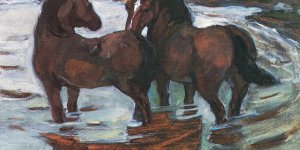 Zwei Pferde in der Schwemme 