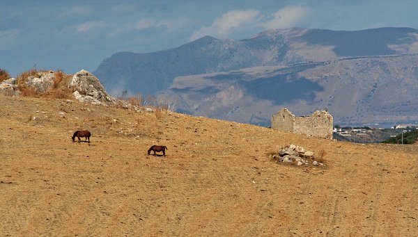 Steppe