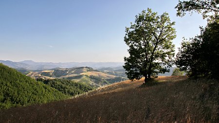 Toskana Landschaft 