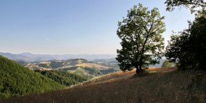 Toskana Landschaft 