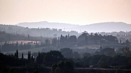 Baeume im Nebel 