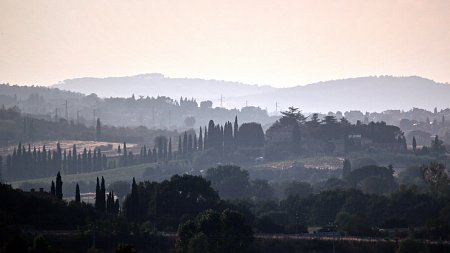 Baeume im Nebel 