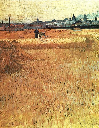 Weizenfeld mit Blick auf Arles 