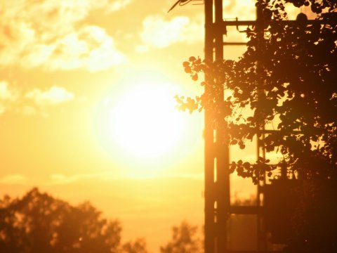 Afrikanischer Sonnenuntergang mit Silhouetten – Leinwandbild