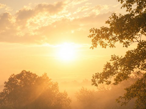 Afrikanischer Sonnenuntergang mit Silhouetten – Leinwandbild