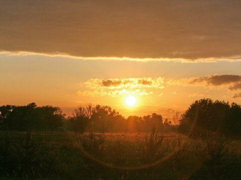 Afrikanischer Sonnenuntergang über Savanne – Leinwandbild