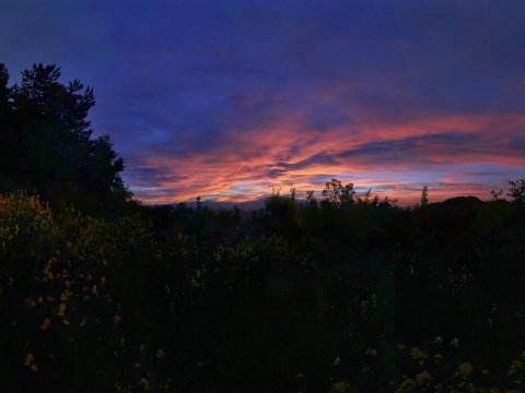 Afrikanischer Himmel in Flammen – Leinwandbild