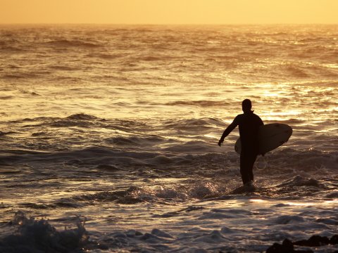 Surfer im goldenen Sonnenuntergang – Leinwandbild
