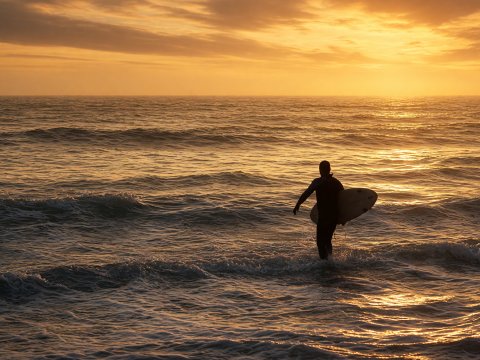 Surfer im goldenen Sonnenuntergang – Leinwandbild