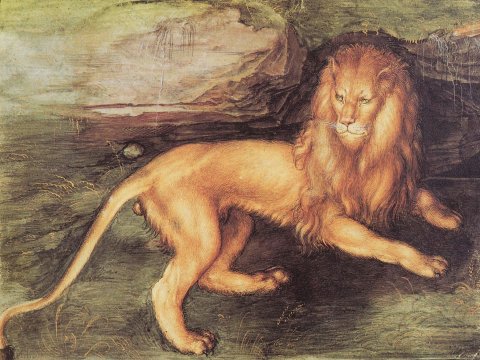 Löwe in majestätischer Pose – Albrecht Dürer – Leinwandbild