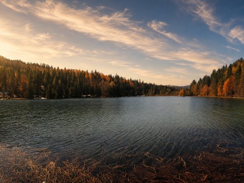 Spiegelung der Wälder – Leinwandbild