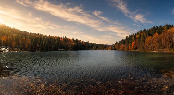 Spiegelung der Wälder – Leinwandbild
