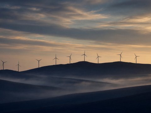 Silhouetten im zwielicht – Leinwandbild