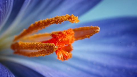 Das Tor zum Abendrot – Leinwandbild