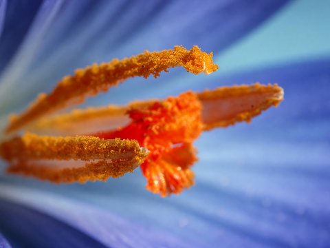 Das Tor zum Abendrot – Leinwandbild