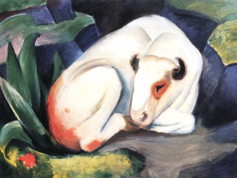 Schlafende weiße Kuh – Franz Marc – Leinwandbild