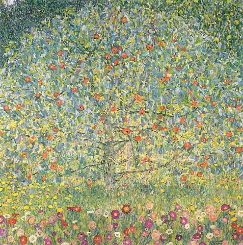 Apfelbaum I – leuchtendes Grün mit roten – Leinwandbild
