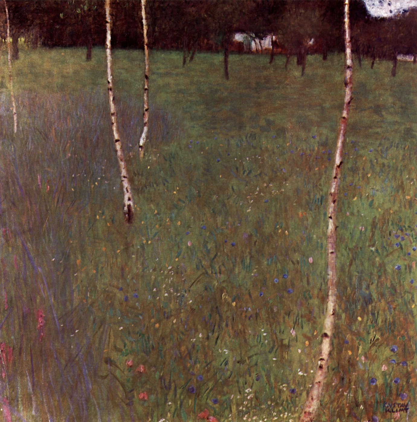 Birken im Blumenfeld – Gustav Klimt – Leinwandbild