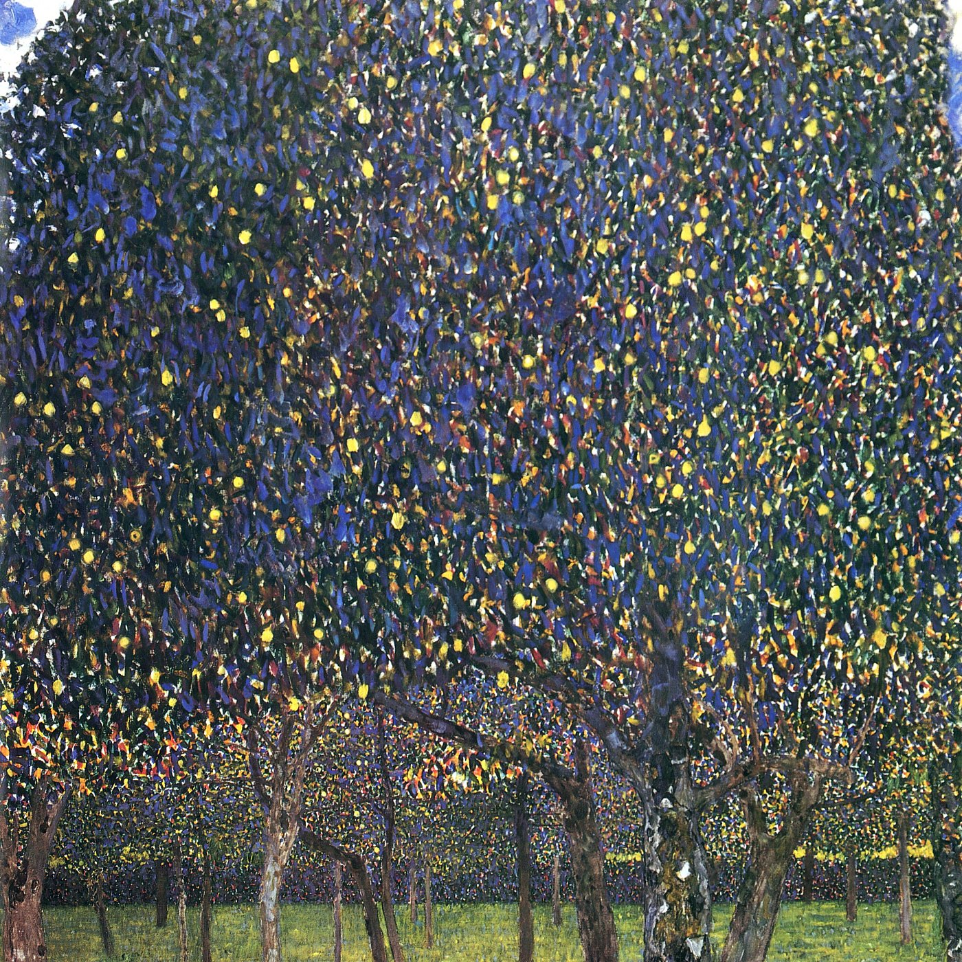 Apfelbaum I – Goldene Früchte im Blau – Leinwandbild
