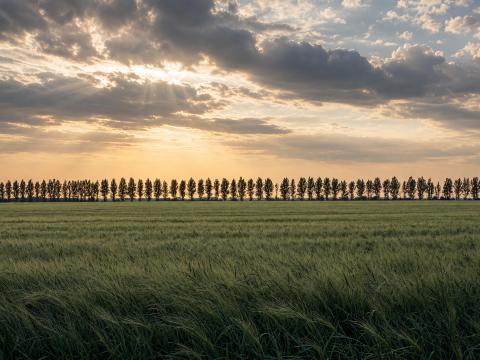 Dämmerung in der Unendlichkeit – Leinwandbild