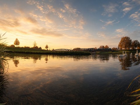 Schwanen auf ruhigem See bei Sonnenschein – Leinwandbild