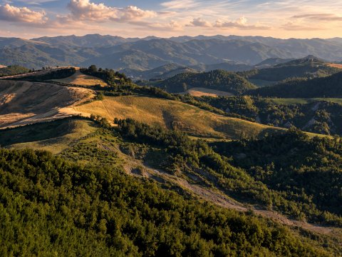 Wald- und Hügellandschaft im Sonnenlicht – Leinwandbild