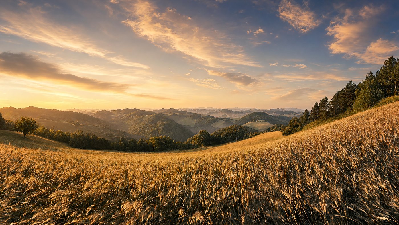 weizenfeld, sonnenuntergang, landschaft, goldenes Licht, hügel, wald, frieden, sommer, natur, dämmerung, warm, weich, textur, horizont, stille, ernte, wiese, himmel, wolken, farben, tiefe, ruhe, idylle, panorama – Leinwandbild