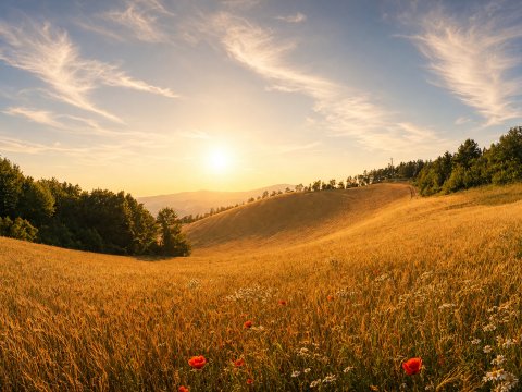 Sicilianische Weite im Gegenlicht – Leinwandbild
