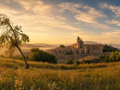 Abendstunde über der Hügellandschaft – Leinwandbild