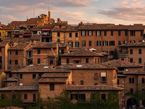 Terrakotta-Träume über Siena – Leinwandbild