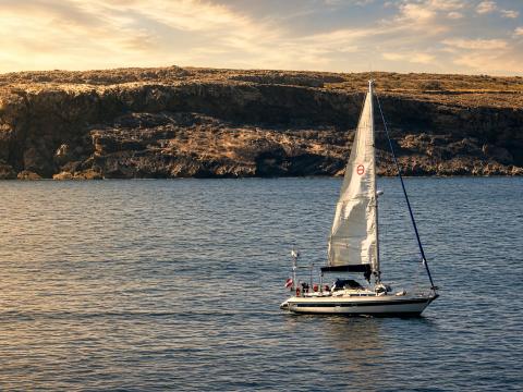 Segel im Schatten der Klippen – Leinwandbild