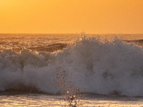 Strandwelle im Goldton – Leinwandbild