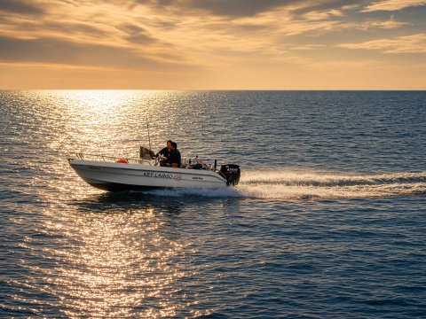 Schnitterfahrt im Abendlicht – Leinwandbild