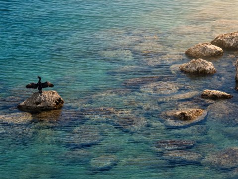 Mittelmeer in Türkis – Leinwandbild