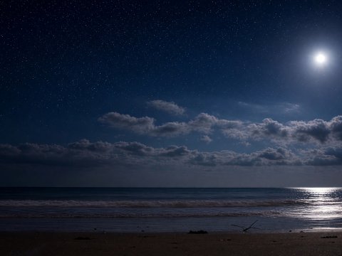 Mondlicht über dem Horizont – Leinwandbild