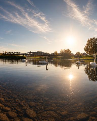 Romantische Bilder Leinwandbilder