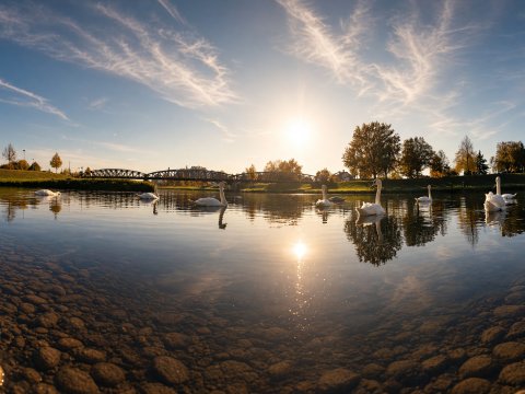 Sonnenspiegelung im Teich – Leinwandbild